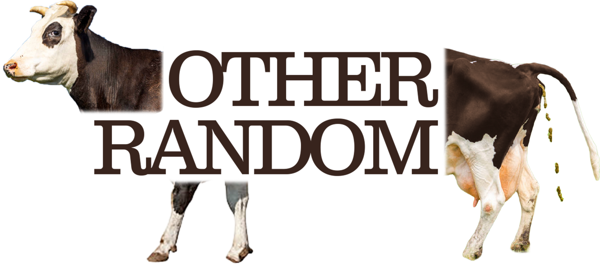 Random shit